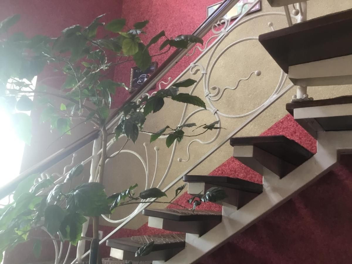 Inn Alibi Khorodelets المظهر الخارجي الصورة